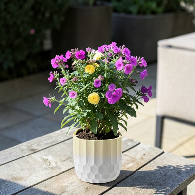 Ceramic Plant Cache Pot. Two Tone Yellow and White. Honeycomb Pattern ...