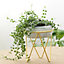 Ceramic Plant Pot Tabletop Planter with Gold Metal Stand 125 x 165 mm