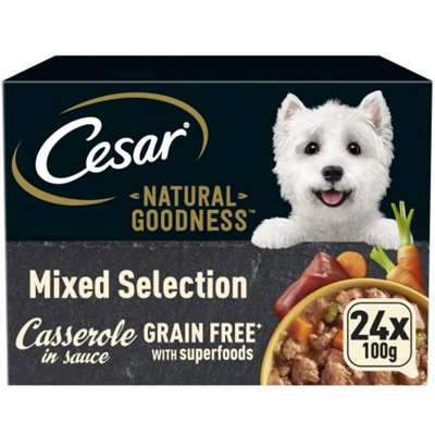 Natural Trainer Bocconcini Per Cani Small & Toy Al Salmone – 24 Confezioni Da 100g, Cibo Umido Completo