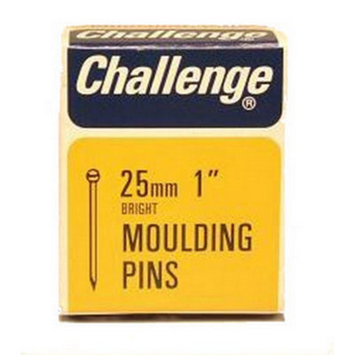 Challenge Moulding Pins Silver (25mm)