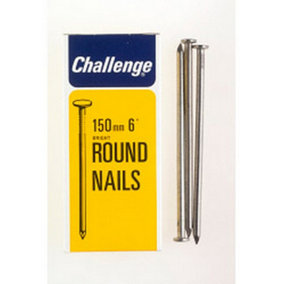 Challenge Steel Wire Nails Silver (100mm)