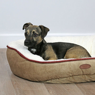 Charles Bentley Small Memory Foam Pet Bed Taupe DIY at B Q