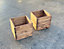 Charles Taylor 2pc Deluxe Open Planter Set