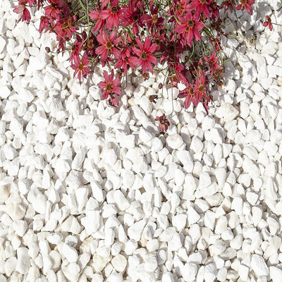Charles Watson 9-12mm Polar White Marble Chippings Decorative Garden ...