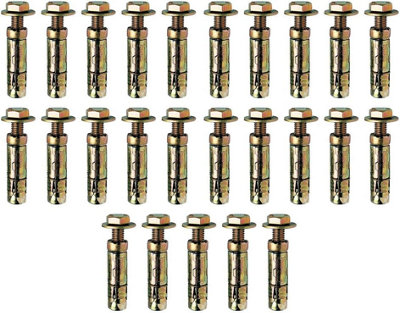 Charles Watson M6x10 Loose Bolt Shield Anchor Zinc-Plated Steel Masonry Fixing Pack of 10