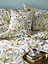 Chateau Potagerie Cream King Bed Set