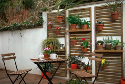 Wooden slats attached to a white exterior wall to create a vertical garden.