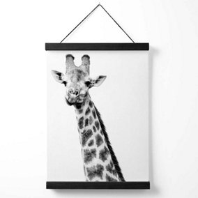 Cheeky Giraffe Animal Black and White Photo Medium Poster with Black Hanger