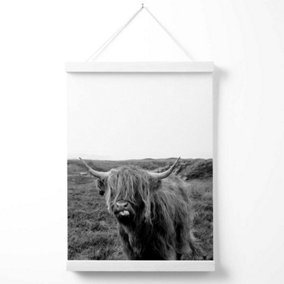 Cheeky Highland Cow Animal Black and White Photo Poster with Hanger / 33cm / White