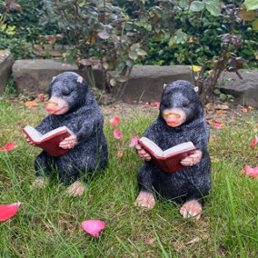 Cheeky Small Moles Figurines for Garden and Home Reading Books