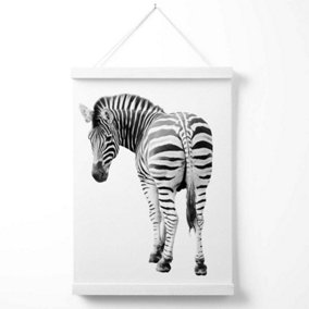 Cheeky Zebra Animal Black and White Photo Poster with Hanger / 33cm / White