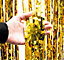 Cheetah Metallic Party Event Photo Backdrop Tinsel Curtain 2.5M x 1M Gold