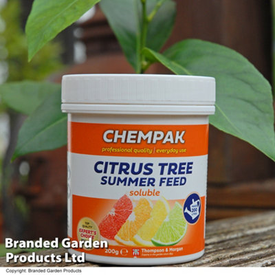 Chempak Citrus Tree Summer Food 200g x 1 Unit