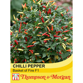 Chilli Pepper Basket Of Fire F1 Hybrid 1 Seed Packet (6 Seeds)