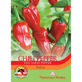 Chilli Pepper Padron 1 Seed Packet (10 Seeds)