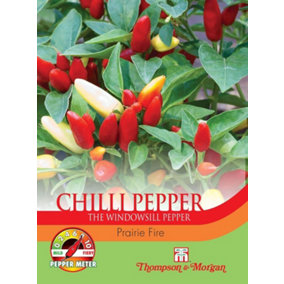 Chilli Pepper Prairie Fire 1 Seed Packet (10 Seeds)