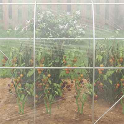 Chilli Polytunnel Greenhouse Walk-in Grow House with PE Cover, Door and ...