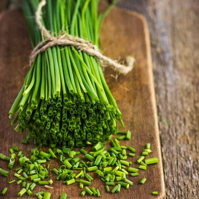 Chive Herb Plant in 13cm Pot - Allium schoenoprasum for Culinary Use