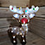 Christmas Acrylic Reindeer With String  Lights & Cool White LED