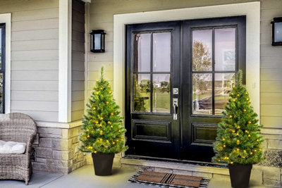 Christmas Tree World The 4ft/120cm Pre-lit Majestic Dew Pine Potted ...