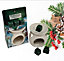 Christmas Wax Melts & Burner Set Mistletoe Kisses Apricot & Ivy Scented Wax