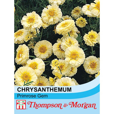 Chrysanthemum Coronarium Primrose Gem 1 Seed Packet (50 Seeds) | DIY at B&Q