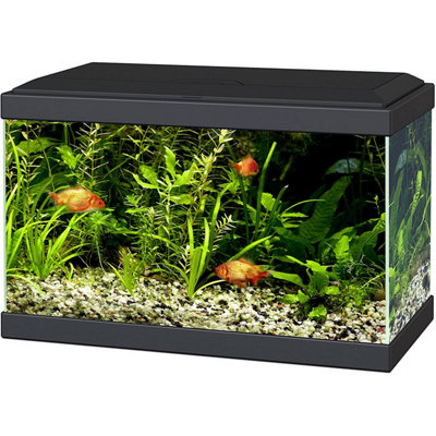 Photo inspiration: Visual Reference: Ciano Aqua Aquarium 20 Led Black Lighting Hood Filter Beginner
