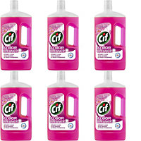 Cif Floor Cleaner Wild Orchid 1L (Pack of 6)