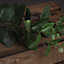 Cineraria Eucalyptus Spray Artificial Plant - Fabric/Plastic - L5 x W20 x H62 cm - Green