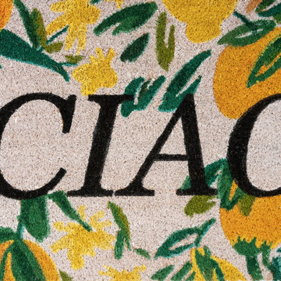 Citrus Floral Designer 'Ciao' Floor Mat 45cm x 75cm