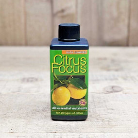 Citrus focus with seaweed complete feed for citrus plant 100ml