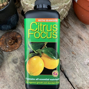 Citrus focus with seaweed complete feed for citrus plant 1L