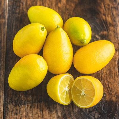 Citrus Limequat Tree in 12cm Pot - Key Lime/Kumquat Hybrid - Grows Edible Fruit - 3