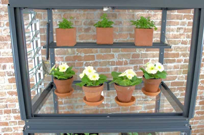 City Growhouse - Aluminium/Glass - L80 x W53 x H151 cm - Without Coating - 3