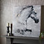 Classical Horse Printed Canvas Wall Art