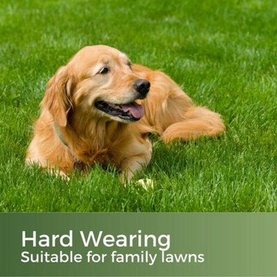 Photo inspiration: Visual Reference: Clay King Grass Seed For Clay Soil 10Kg 140 400M²