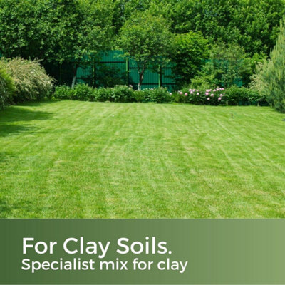 Clay King - Grass Seed for Clay Soil UK - Deep Rooting for Clay Lawns and New Builds - 40m² - 900g - Garden Lawncare Guy