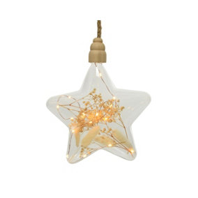 Clear Star Pampas Christmas LED Rope Light