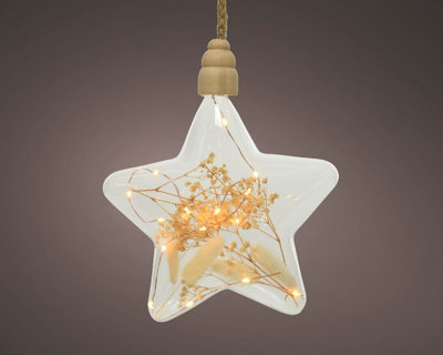 Clear Star Pampas Christmas LED Rope Light