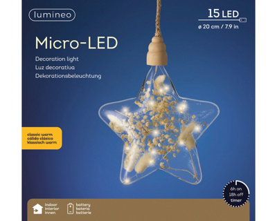 Clear Star Pampas Christmas LED Rope Light