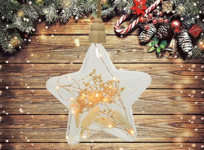 Clear Star Pampas Christmas LED Rope Light