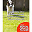 Cleenly Artificial Grass Cleaner for Dogs - Eliminates Pet Urine Stains and Odours - Fresh Bouquet Fragrance (10 Litres)