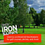 Cleenly Iron Sulphate for Lawns 5kg Pure Lawn Tonic Ferrous Sulphate of Iron Lawn Greener and Turf Hardener
