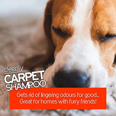 Cleenly Pet Carpet Shampoo Cleaner Solution (5 litres) - Citrus Splash Fragrance - Safe for All Carpet Cleaning Machines - 4
