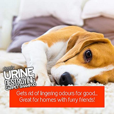 Cleenly Urine Destroying Enzyme Carpet Shampoo Cleaning Detergent (5 litres) - Digests Urine Salts - 4