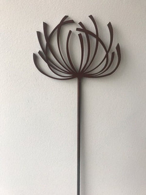 Clematis 4Ft (Pack of 3) - Steel - W15.2 x H144.8 cm - Bare Metal/Ready ...