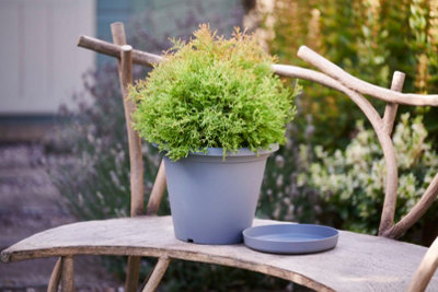 Clever Pots 20cm Charcoal Round Plant Pot & Tray Pack Of 2