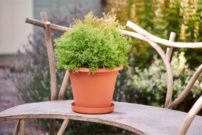 Clever Pots 30cm Terracotta Round Plant Pot & Tray Pack Of 2 DIY at B&Q