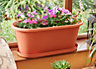 Clever Pots 50cm Terrracotta Plant Trough & Tray