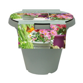 Clever Pots Butterfly Garden Sow and Grow kit